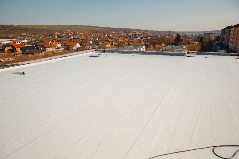 Products For Rubber Roof Inspections in use