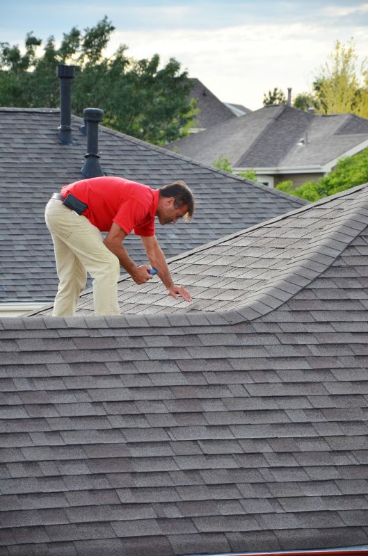 Visual Inspection of Rubber Roof